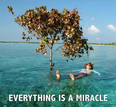 Everything Is A Miracle - David J. Abbott M.D.