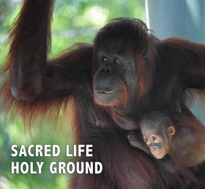 Sacred Life Holy Ground - David J. Abbott M.D.